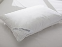 Winter Pillow Timeless