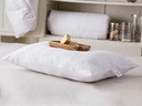 Classic Pillow Timeless