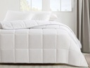 Free Comforter Timeless