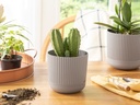 floare Flowerpot Seaside Pop