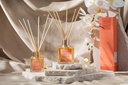 Vanilla Wind Reed Diffuser Timeless