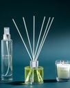 Soft Poison Scented Set Timeless