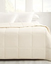 Layna Comforter Timeless