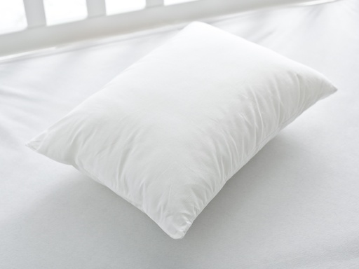 [10013943002] Classic Pillow Timeless