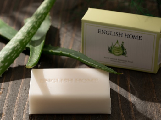 Aloe Vera ve Deniz Y Solid Soap Timeless