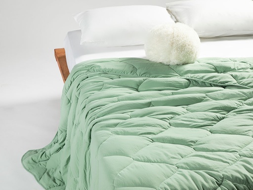 Soft Comforter Timeless